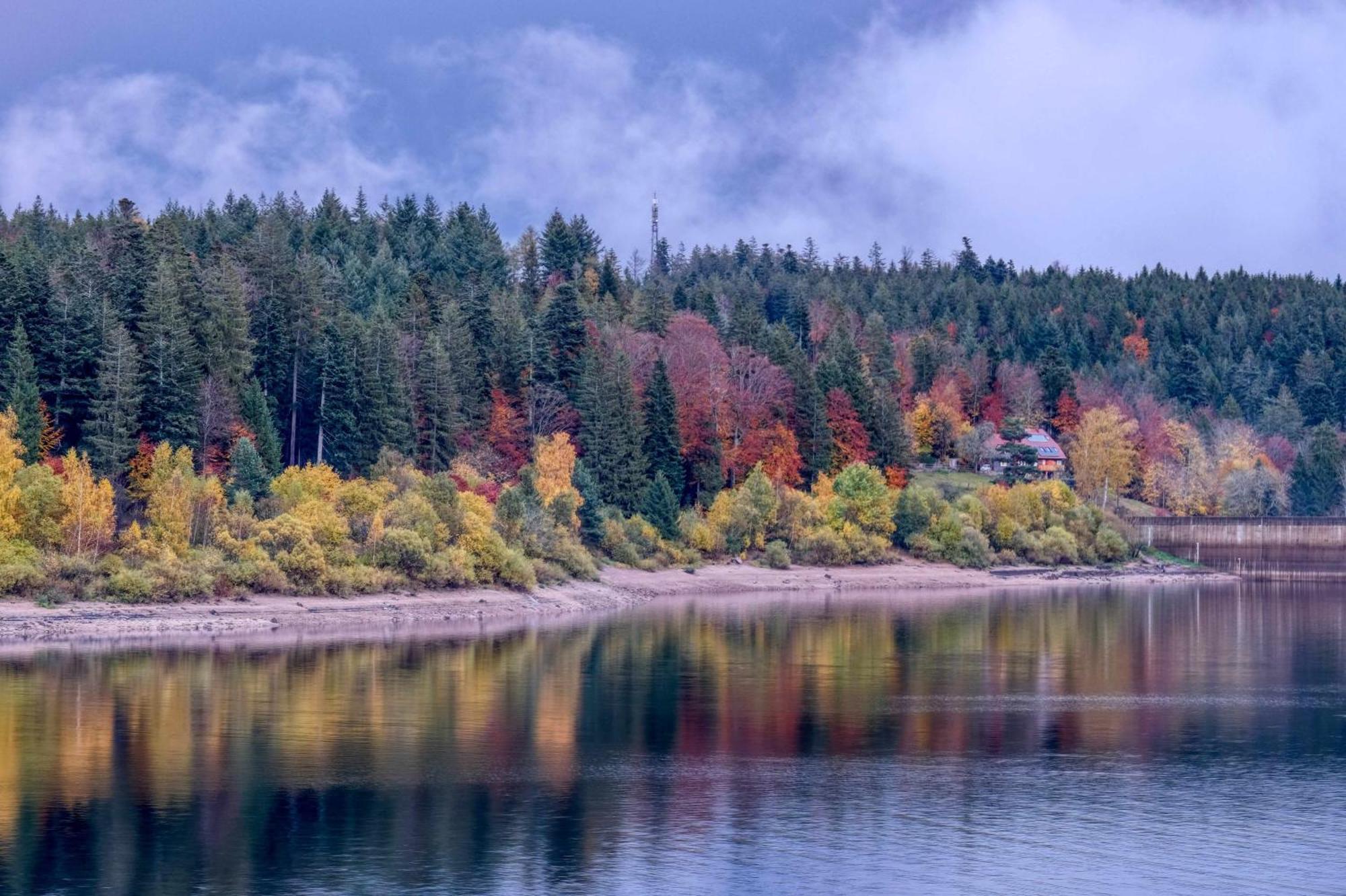 Zum Alten Waerterhaus Forbach Exteriér fotografie